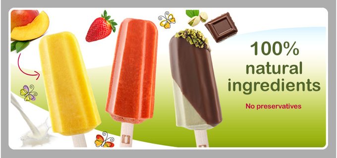 Hot sale ice cream molds ice lolly moulds SS304 italian type gelato molds stick house 4x6 24 sticks with stick holde