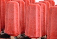 Stick house ice cream mould ice lolly mould stainless steel 4X6 24pieces