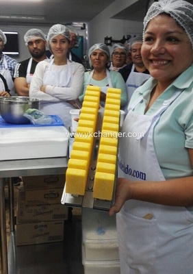 Buy Ataforma type ice lolly moulds commercial use food grade 2x13 26pieces Mexican paletas high quality ataforma type online manufacture
