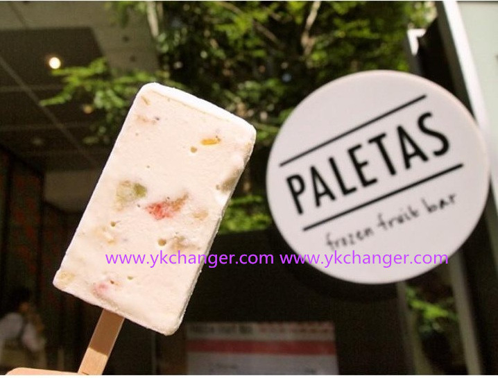Ice moulds stainless steel paletas ice cream popsicle molds with plain stick extractor stick aligner 85USD hot sale