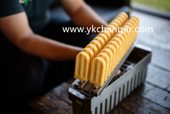 Stainless steel ice cream mould ice cream maker ice cream form ataforma molds